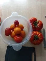 20230827_120749.webp