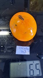 20230827_181646.jpg