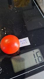 20230827_180725.jpg