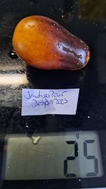 20230827_175503.jpg