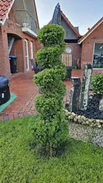 20230828_071409.webp