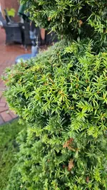 20230828_071419.webp