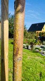IMG_3315.jpeg