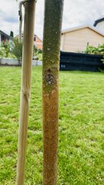 IMG_3324.jpeg