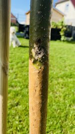 IMG_3317.jpeg