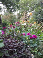 20230828_115519.jpg