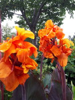 20230828_115149.jpg