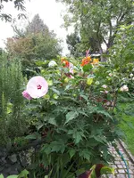 20230828_115647.webp