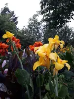 20230827_194712.webp