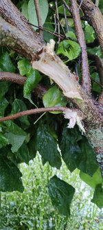 IMG_20230828_175746.jpg