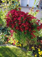 20171015_164854.jpg