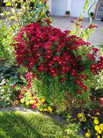 20171015_164854.webp