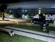 IMG_6783.jpeg