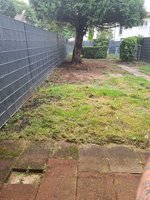 20230806_113442.jpg