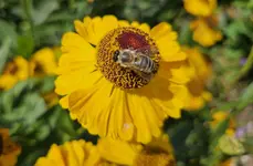 20230829_230258.webp