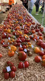 IMG_7584.webp