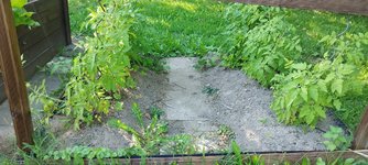 IMG_20230818_174152.jpg