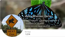 garten.webp