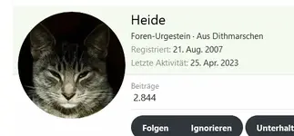 Heide.webp