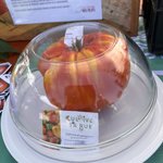 IMG_7577.jpeg