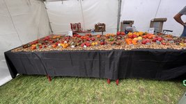 IMG_7621.jpeg
