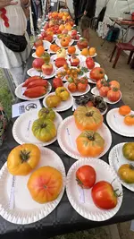 IMG_7627.jpeg