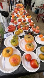 IMG_7627.jpeg