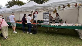 IMG_7667.jpeg