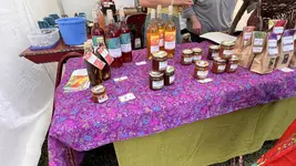 IMG_7681.jpeg