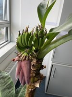 IMG_3314.jpeg