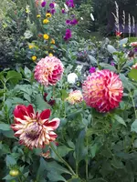 20230830_163907.webp