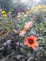 20230830_164136.webp