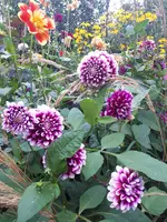 20230830_163747.webp