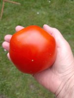 IMG_20230831_122412.jpg