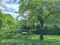 20230831_103145.webp