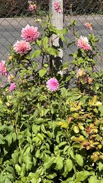 IMG_7503.jpeg