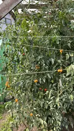 IMG_7863.webp