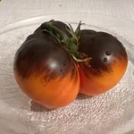 IMG_7911.jpeg