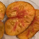 IMG_7916.jpeg