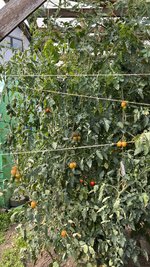 IMG_7863.jpeg