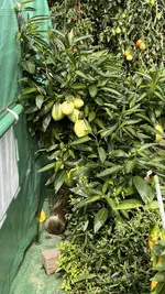 IMG_7876.jpeg