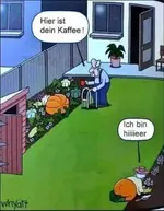 kürbis.webp