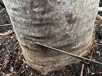 IMG_7322.jpeg