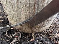 IMG_7324.jpeg