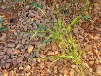 20230901_180750.webp