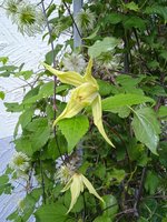 IMG_20230901_112337_1.jpg