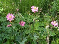 IMG_20230901_112945_1.jpg