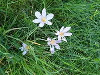 IMG_20230902_133000.jpg