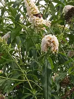 IMG_20230901_112826_1.webp