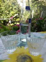 IMG_20230902_175549.webp